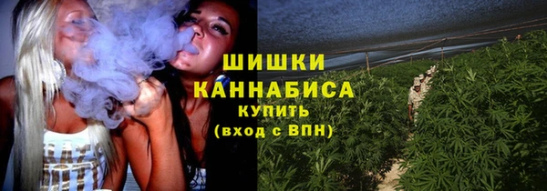 скорость Богородск