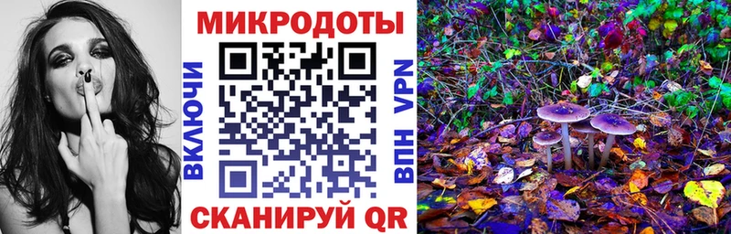 blacksprut ССЫЛКА  Павловск  Псилоцибиновые грибы Magic Shrooms 